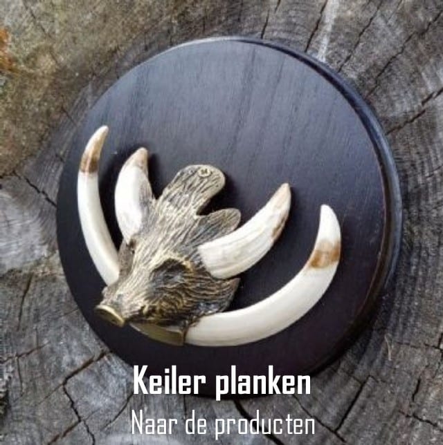 keiler start