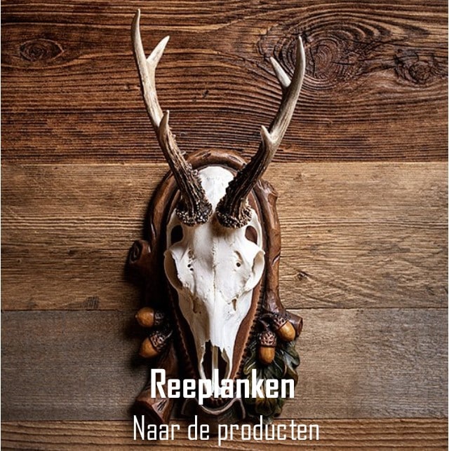 ree start